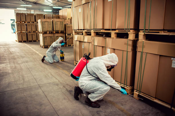Best Pest Control for Businesses  in Governors Clu, NC