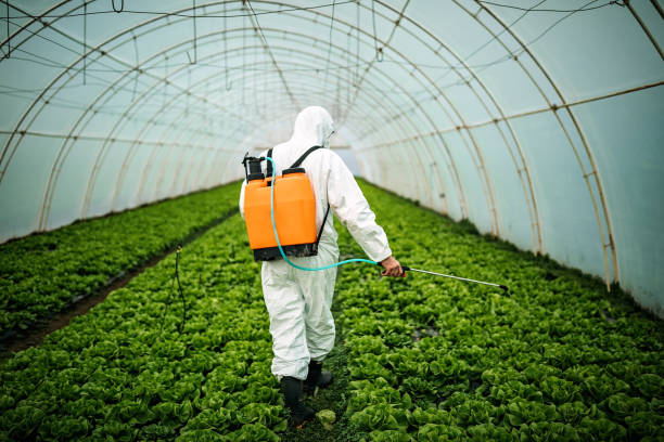 Best Pest Control Cost  in Governors Clu, NC