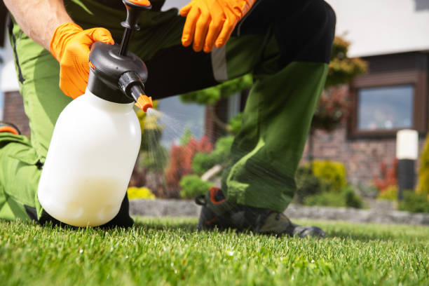 Best Cockroach Control Services  in Governors Clu, NC