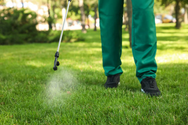 Best Cockroach Control Services  in Governors Clu, NC