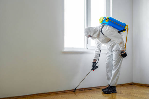 Professional Pest Control in Governors Clu, NC