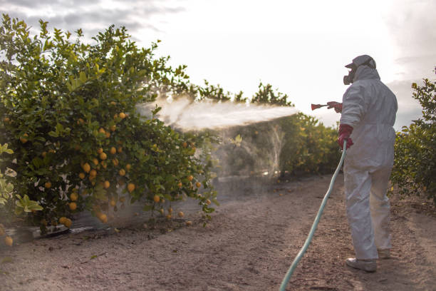 Best Affordable Pest Control Services  in Governors Clu, NC