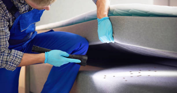 Best Wasp Removal Services  in Governors Clu, NC