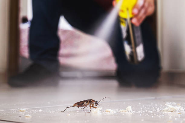 Professional Pest Control in Governors Clu, NC