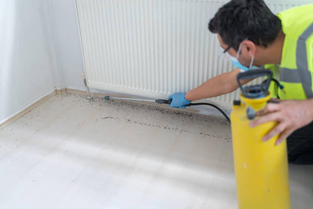Best Flea Control Services  in Governors Clu, NC