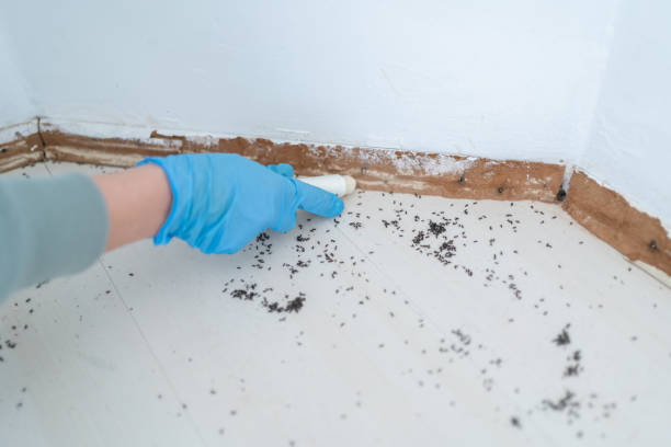 Best Wildlife Control Services  in Governors Clu, NC