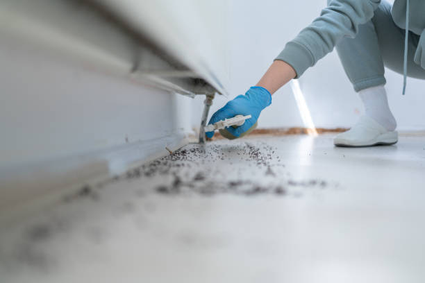Best Pest Control Near Me  in Governors Clu, NC